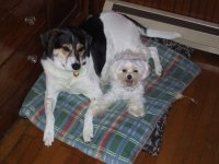 Highlight for Album: Buca's Boston Memories