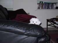 Peekaboo!