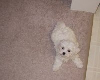 About to pounce...