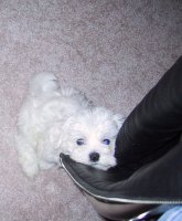 Mom, can I please come up and lay in your lap?