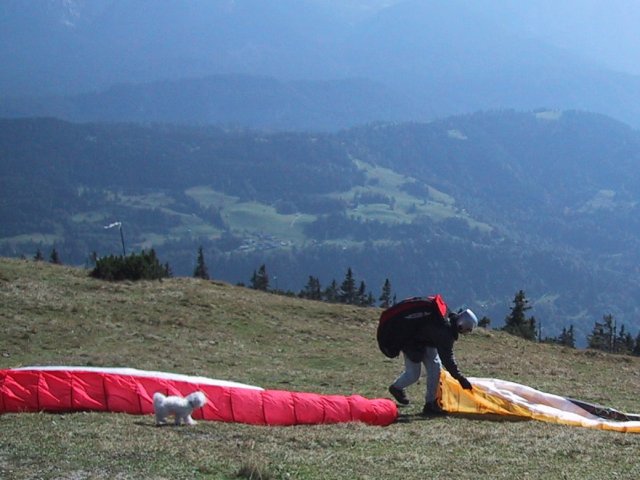 On the Western side of the summit, we came across the parasailors' preferred launching spot... Of course, Buca had to run right up and investigate this.
