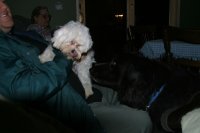 After a few introductions, the two were good pals.