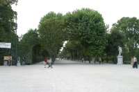 More of the gardens.