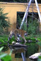 The animals, the colors, the surrounds were all breathtaking.  I was loving every minute with my camera in hand.