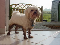 On a rather wet morning... 
