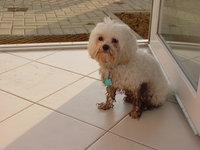 Even he's unhappy about being so dirty.