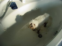 That's the unhappy face that appears when we turn the water on.