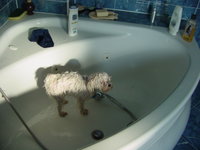 All clean and conditioned... and now it's time to 
