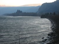 The Oregon shore of the Columbia River.