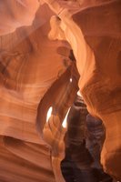 IMG_8102.jpg