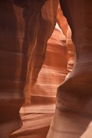 IMG_8179.jpg