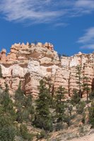 IMG_7233.jpg