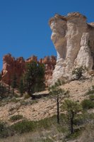 IMG_7285.jpg