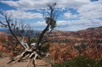 IMG_7292.jpg
