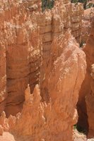 IMG_7302.jpg