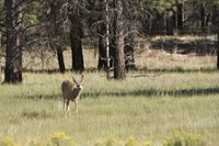 IMG_7920.jpg