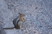IMG_7939.jpg