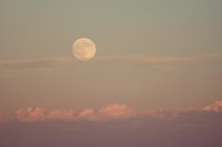 IMG_8016.jpg
