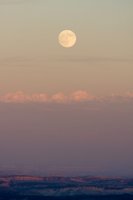 IMG_8021.jpg