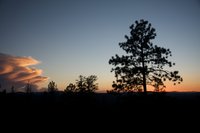 IMG_8056.jpg