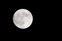 IMG_8093.jpg