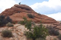 IMG_7378.jpg