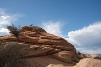 IMG_7430.jpg
