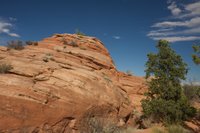 IMG_7449.jpg