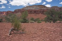 IMG_7541.jpg