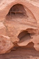 IMG_7576.jpg