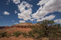 IMG_7623.jpg