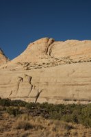 IMG_7697.jpg