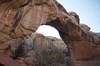 IMG_7703.jpg
