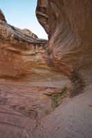 IMG_7741.jpg