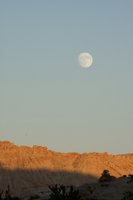 IMG_7818.jpg