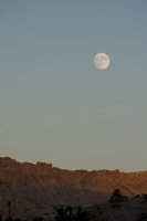 IMG_7821.jpg