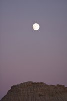 IMG_7825.jpg