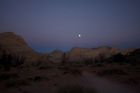 IMG_7834.jpg