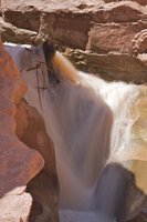IMG_7854.jpg