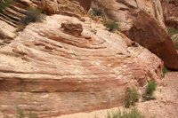 IMG_7876.jpg