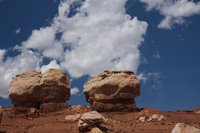 IMG_7894.jpg