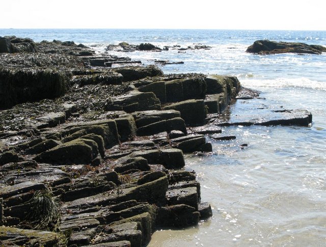 Even barnacles. ;-)