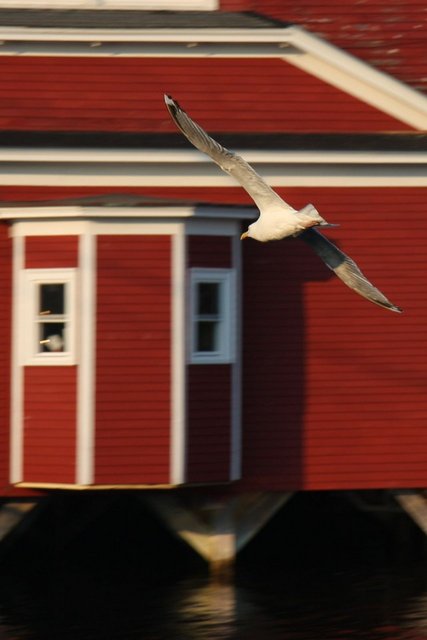 Replete with everything one would expect in a classic New England sea port.