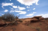 Highlight for Album: Southwest National Park Tour
