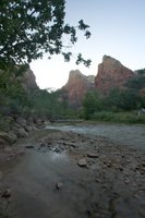 IMG_6785.jpg