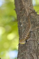 IMG_6839.jpg