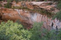 IMG_6998.jpg