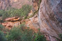 IMG_7016.jpg