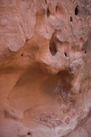 IMG_7023.jpg