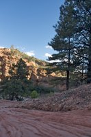 IMG_7146 (1).jpg